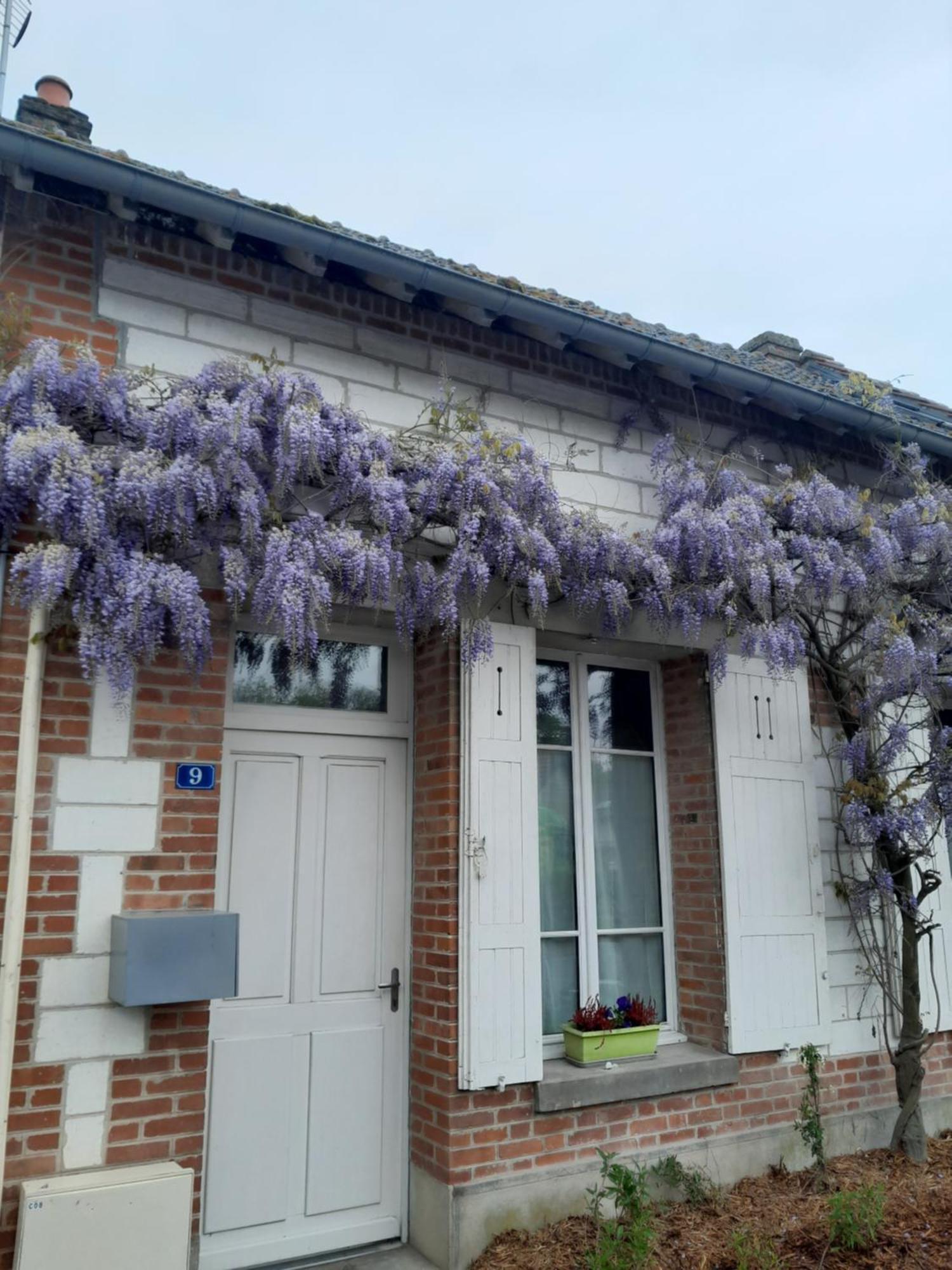 Gite, Maison A La Campagne Ardennes, Aisne,Marne Le Thour Værelse billede